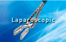 Iaparoscopic